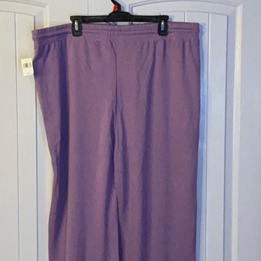 Disneyland Resort Logo Embroidered Joggers~Size 1X (16-18) 2X (18-20)~NWT - Picture 4 of 12